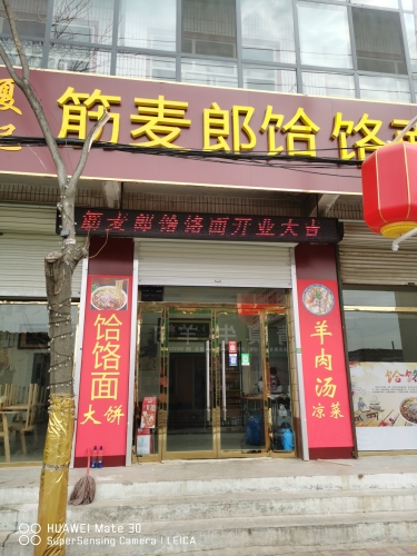 黄儿营筋麦郎饸饹面(宁营街店)