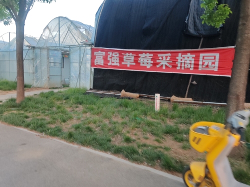 富强草莓采摘园