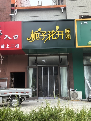 栀子花开鲜花