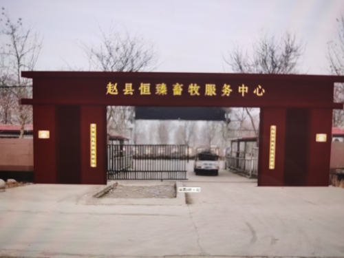 赵县恒臻畜牧服务中心