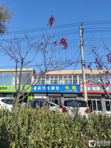星辰汽车脚垫