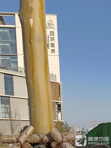 四环医药