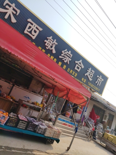 宋西敏综合超市