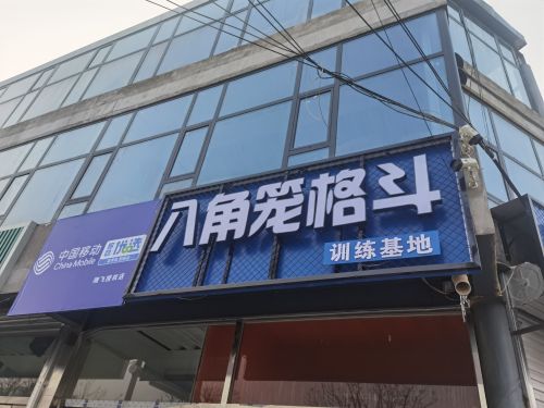 八角笼格斗