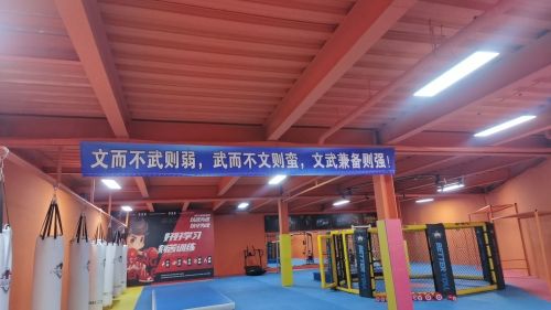 八角笼格斗