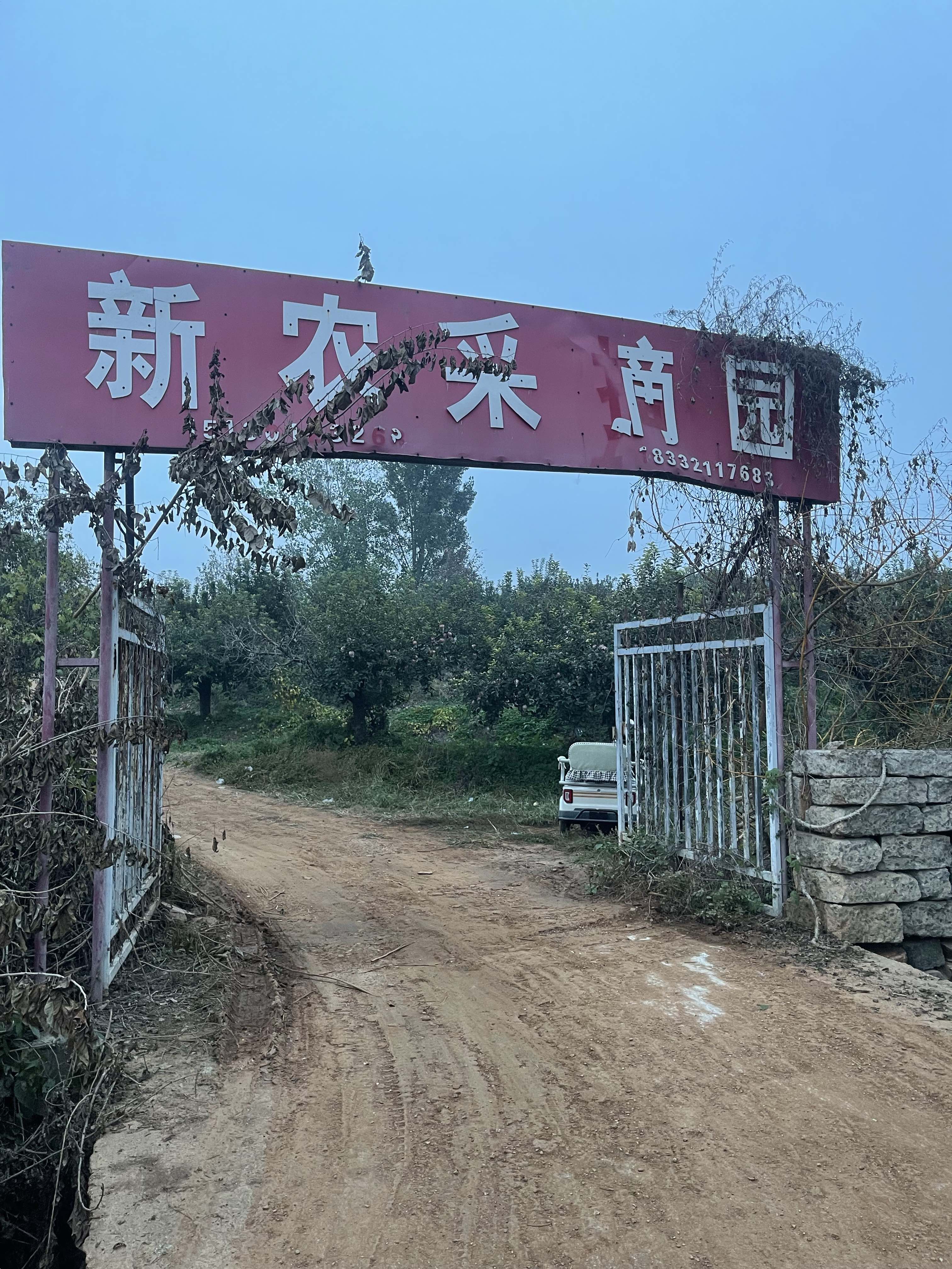 行唐县新农采摘园