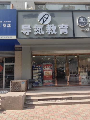 导氮教育(辛集分部)