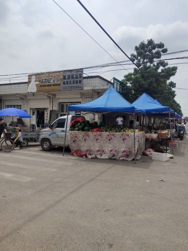 丽丽水果店