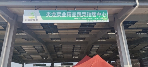 炎龙发农业精品蔬菜销售中心