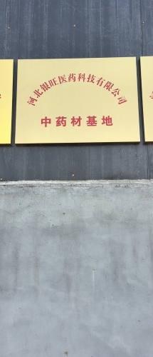 河北银旺医药科技有限公司