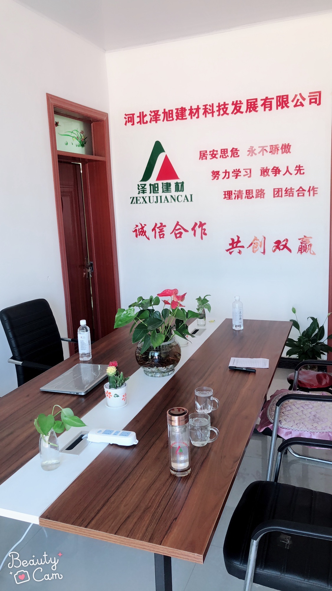 河北泽旭建材科技发展有限公司彩砂蛭石