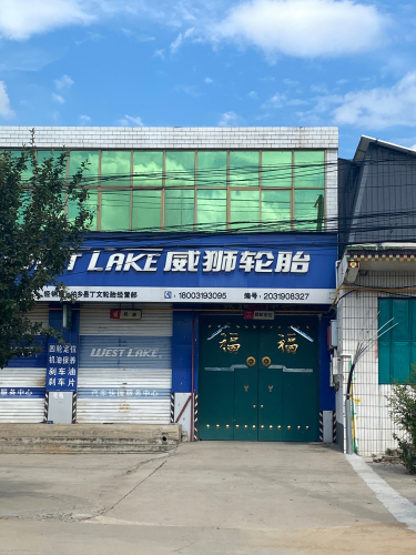 威狮轮胎