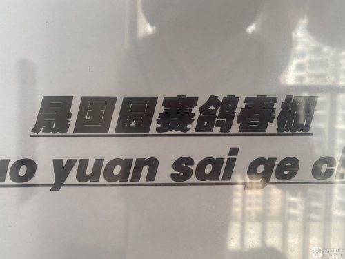 晟国园赛鸽春棚