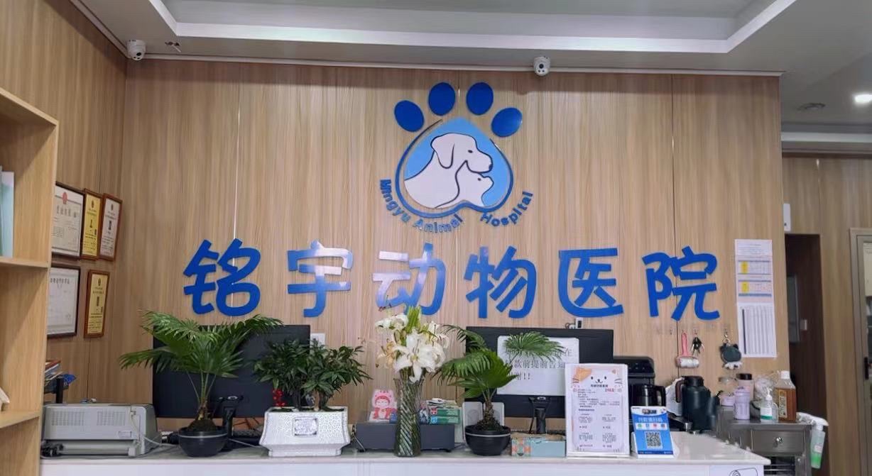 铭宇动物医院