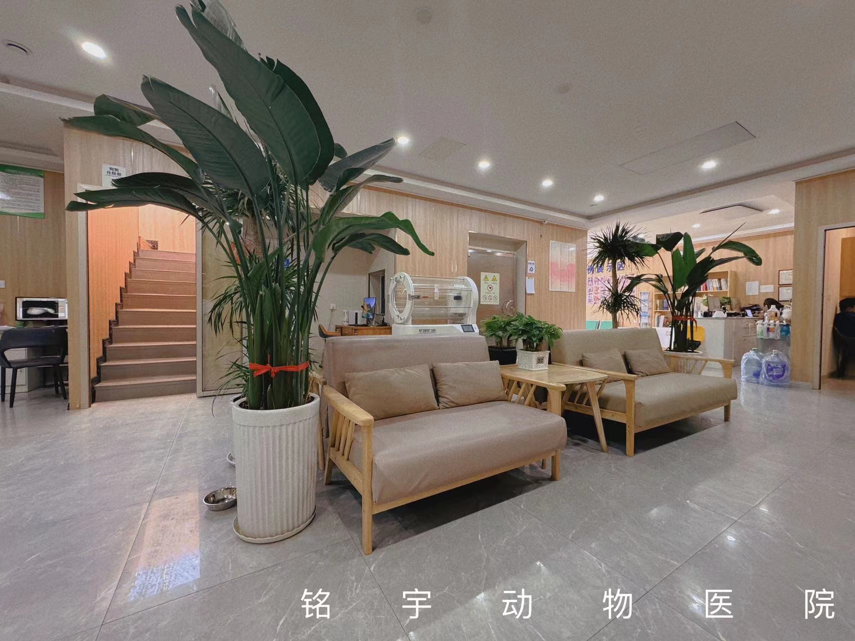 铭宇动物医院