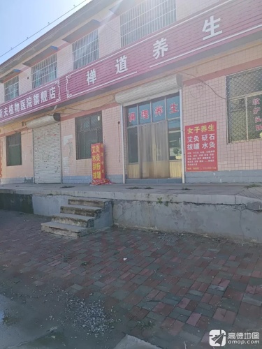 禅道养生阁