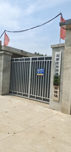 石家庄市深泽县月阳养猪场
