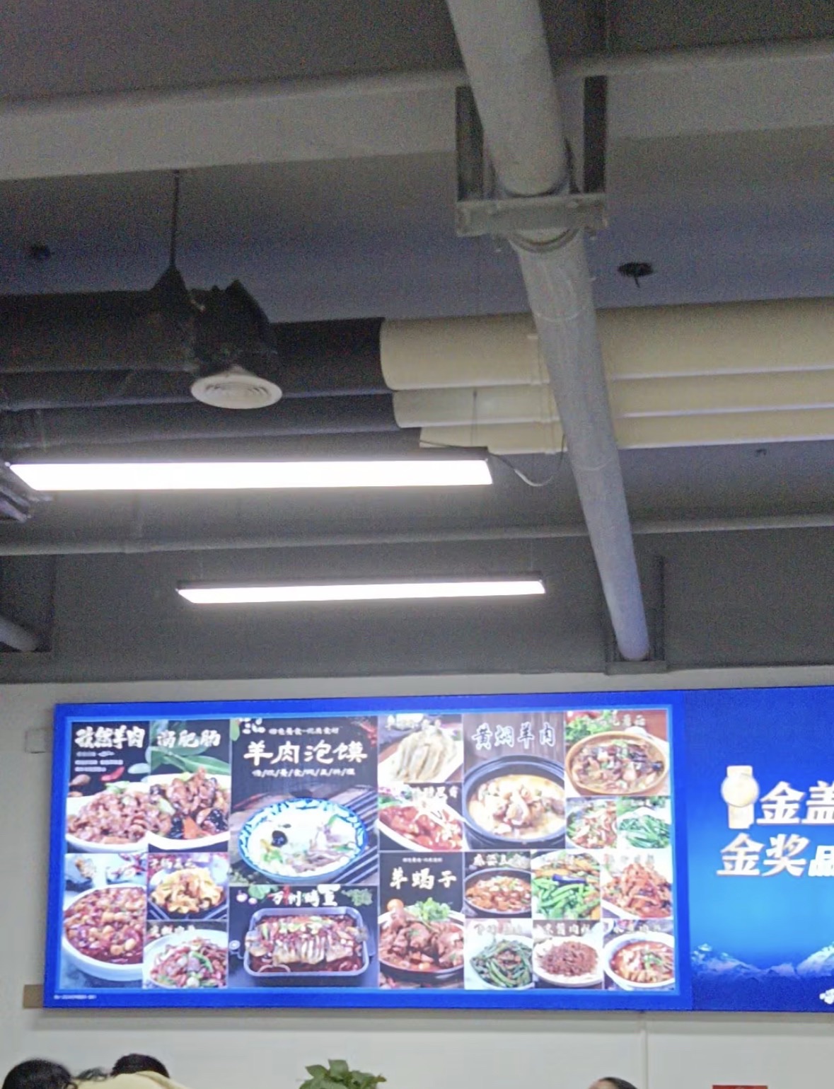 明珠羊肉泡馍·烧烤