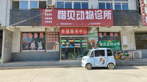 惜贝动物诊所