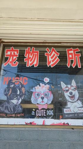 惜贝动物诊所
