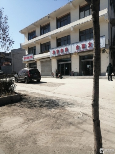 金惠文体