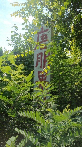 唐朋果站