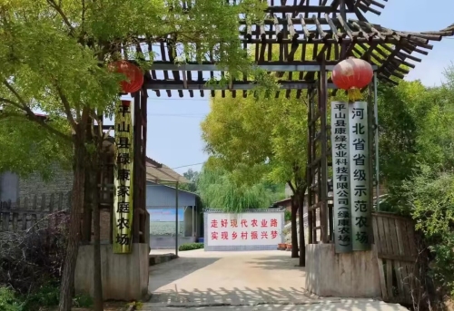 平山县康绿农业科技有限公司