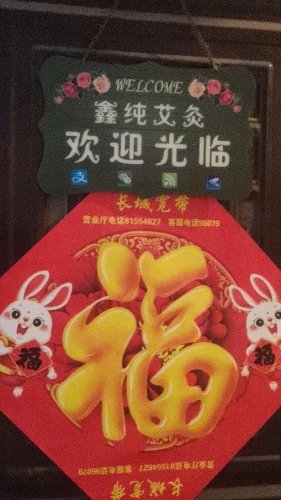 鑫纯艾灸