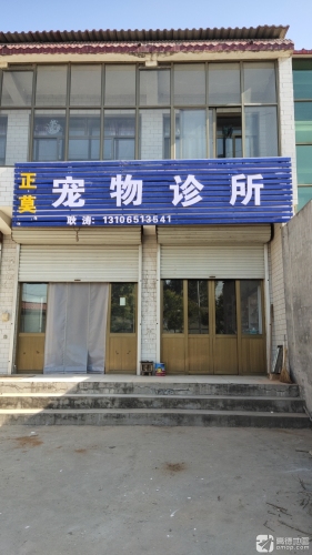 正莫宠物诊所