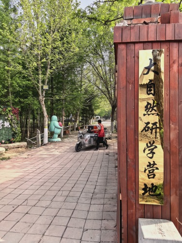 大自然研学营地