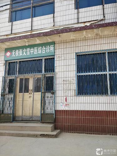 无极张文雪中医综合诊所