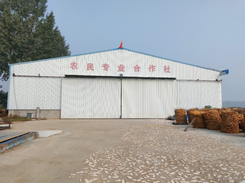书军农产品农民专业合作社