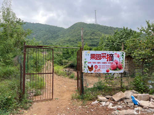 天甜果园采摘