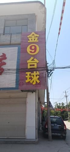 金9台球