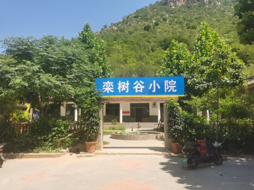 栾树谷小院