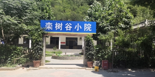 栾树谷小院
