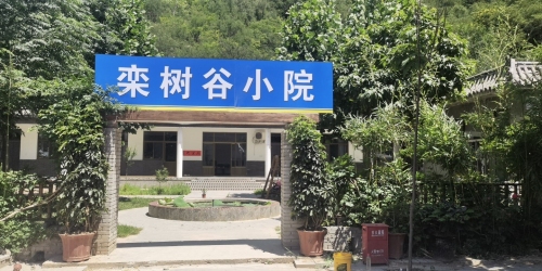 栾树谷小院