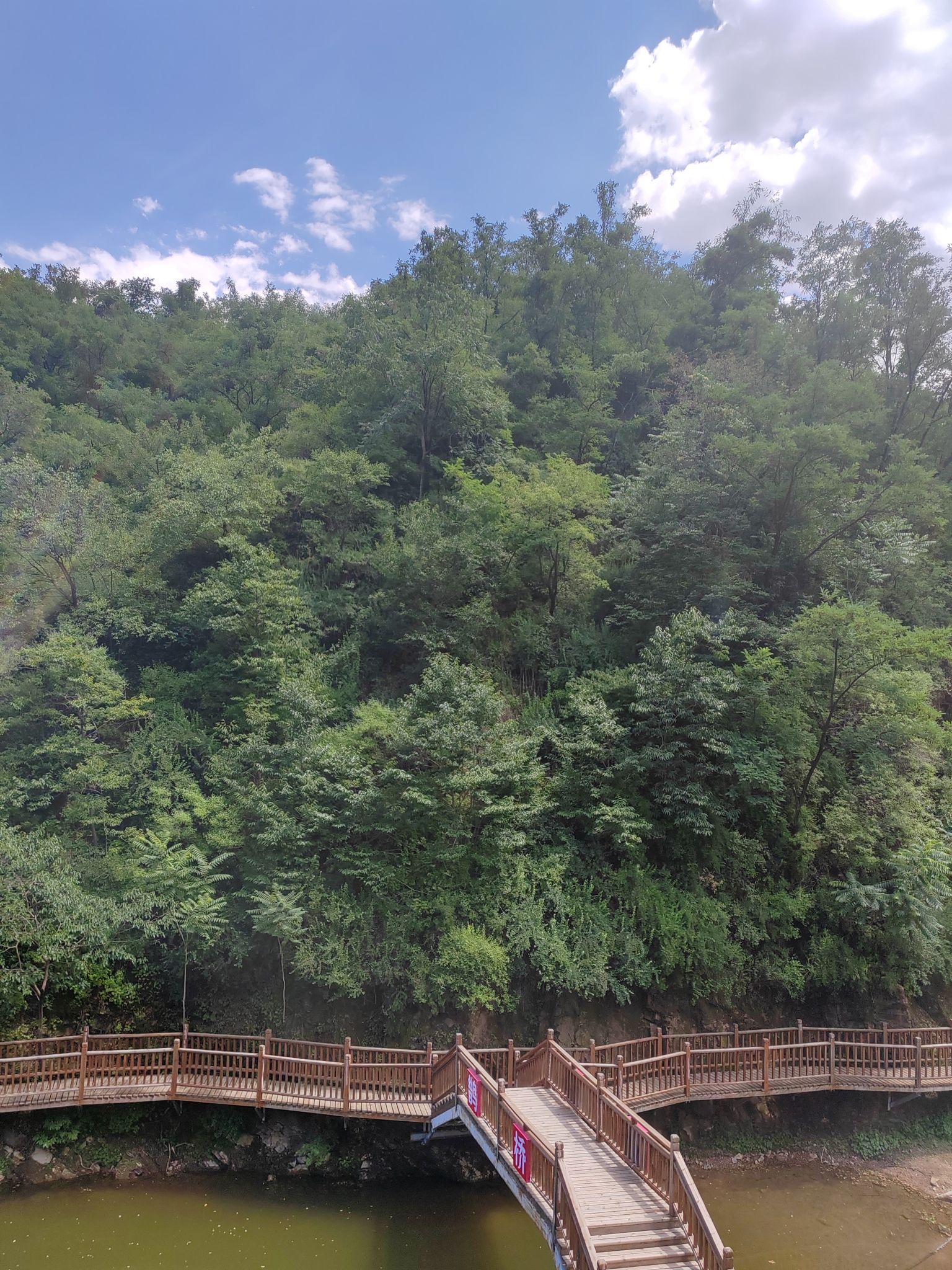 鹊桥露营基地
