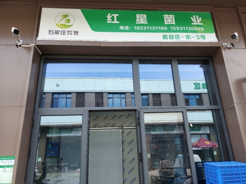 红星菌业