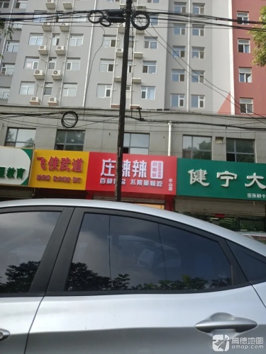 飞侠武道
