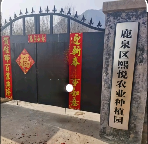鹿泉区熙悦农业种植园
