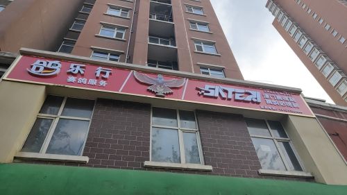 桥西区鸽乐行赛鸽服务
