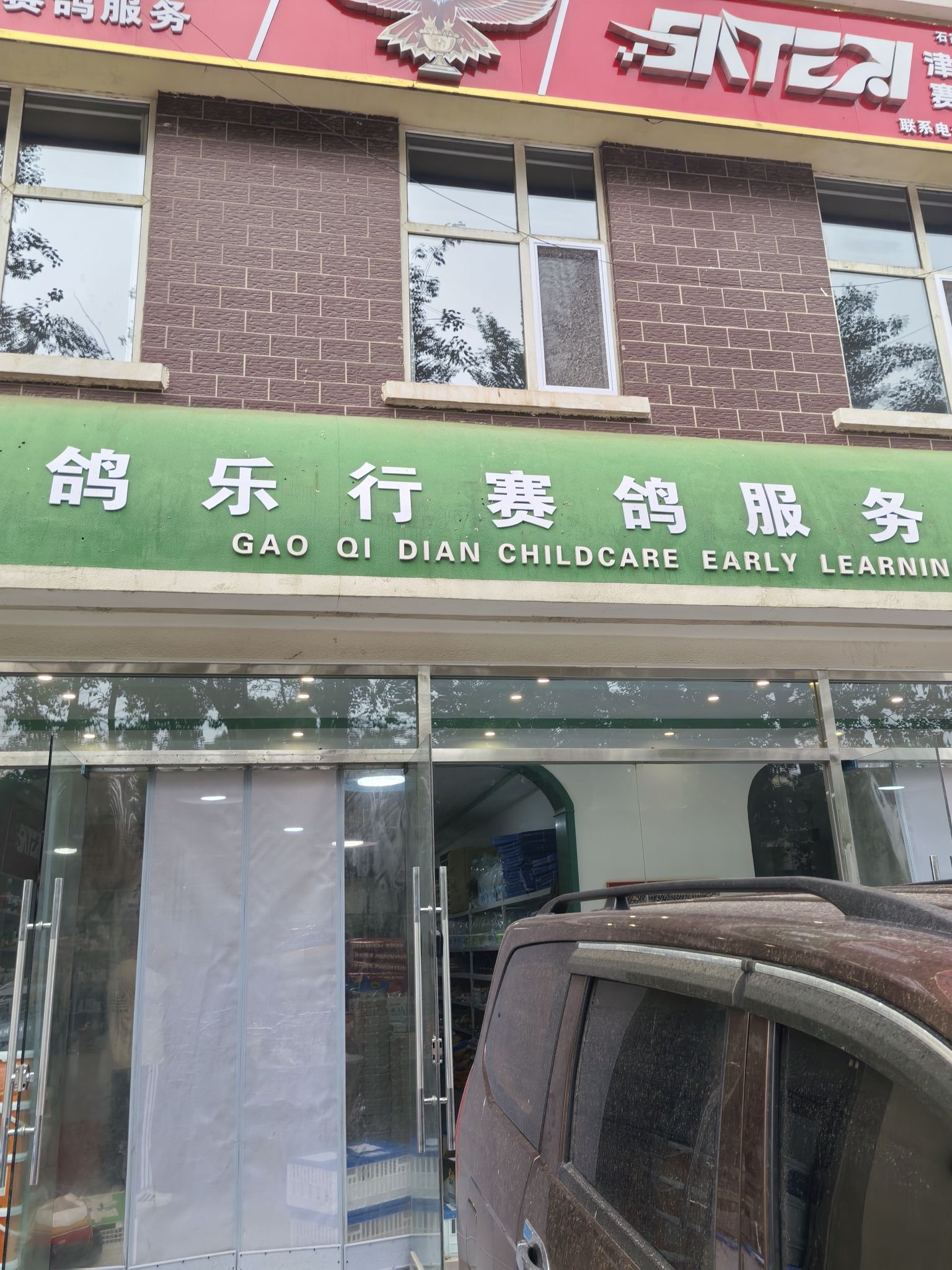 桥西区鸽乐行赛鸽服务