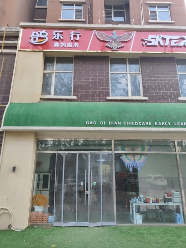 桥西区鸽乐行赛鸽服务