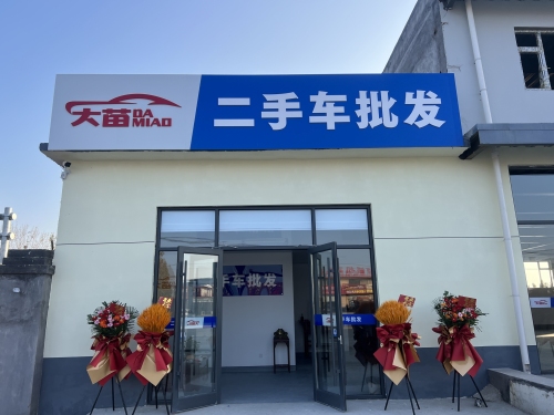大苗二手车