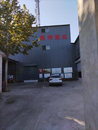 定州嘉伟面业有限公司