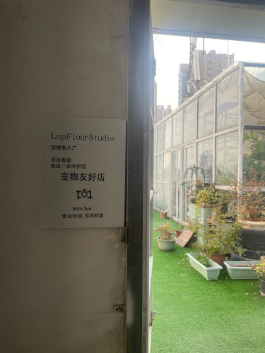 顶楼制片厂