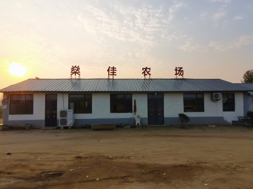 曲阳燊佳家庭农场