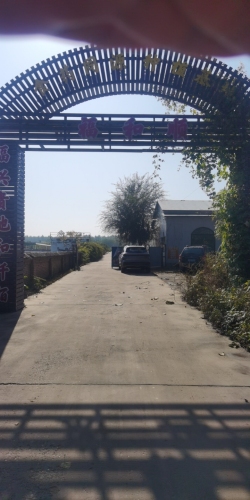 书萱臻品基地