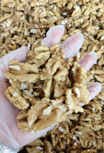 河北玉珊食品有限责任公司核桃仁加工厂